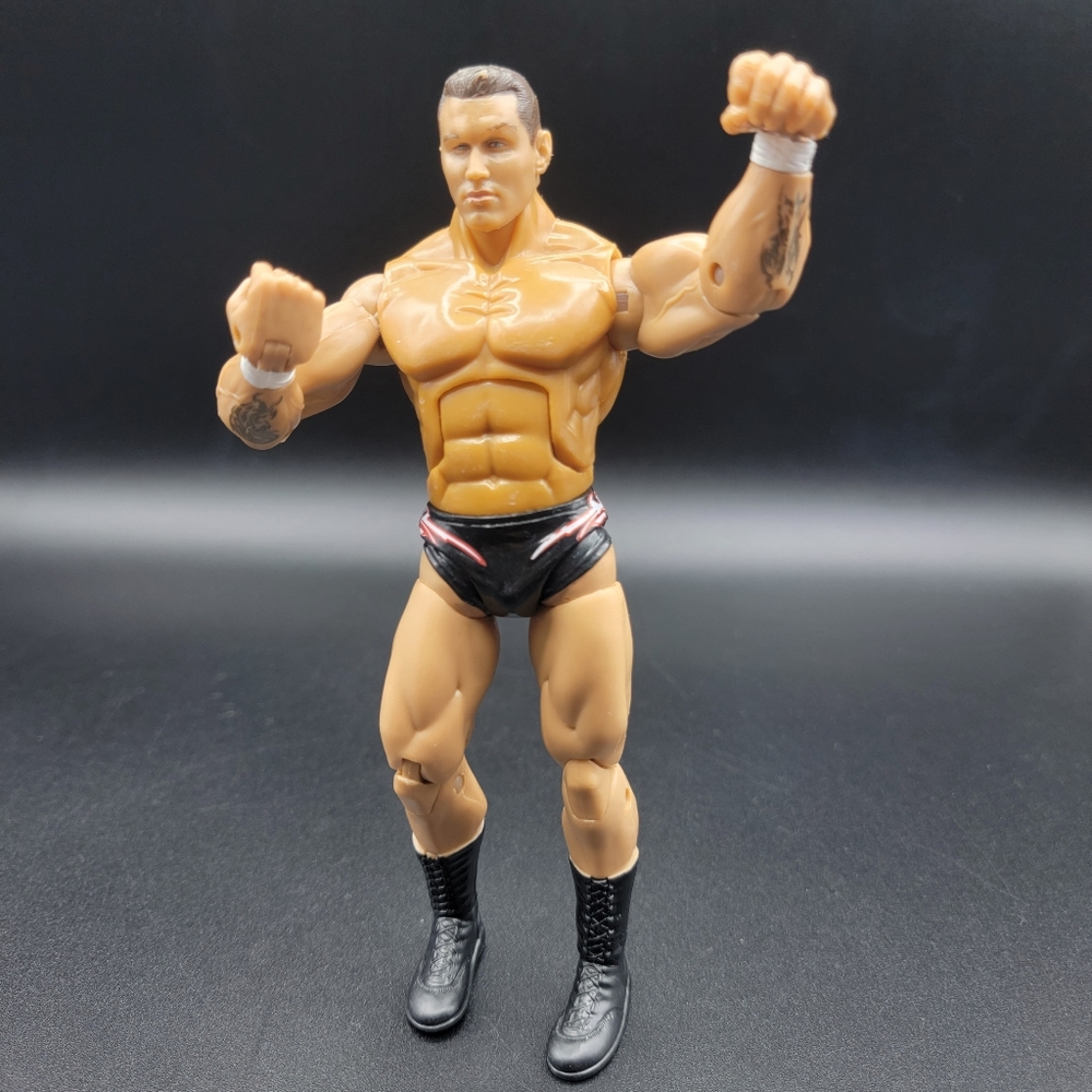 2005 Randy Orton Evolution Deluxe Aggression Action Figure WWE WCW Jakks Toy WWF